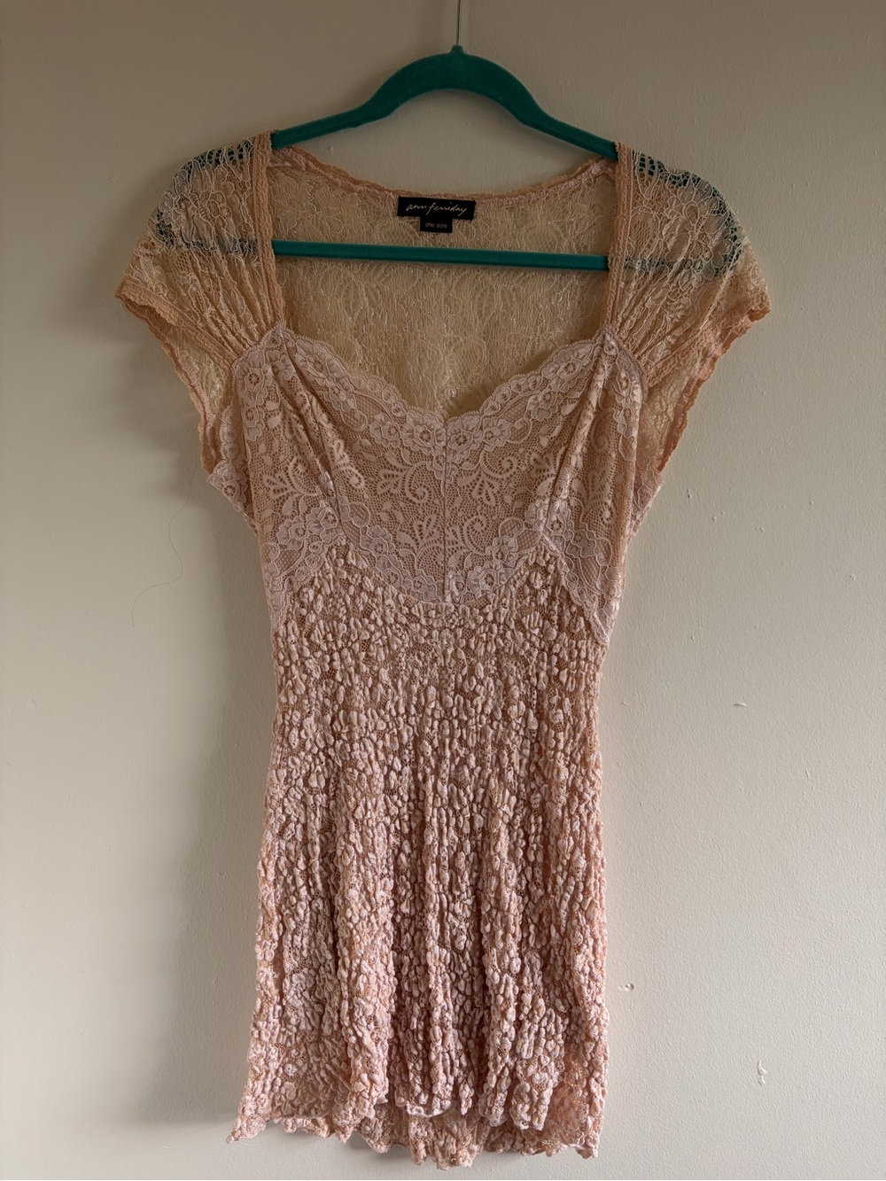 Ann Ferriday Blush Lace Mini Dress